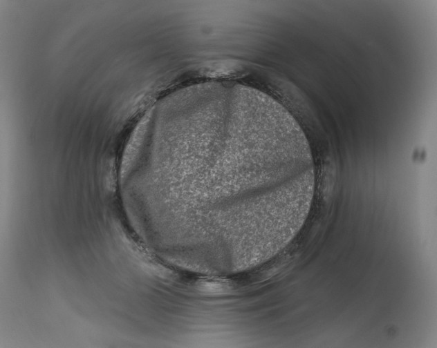X0000112800510200909181540