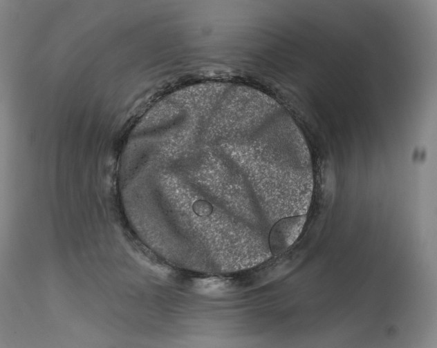 X0000112800511200909181540