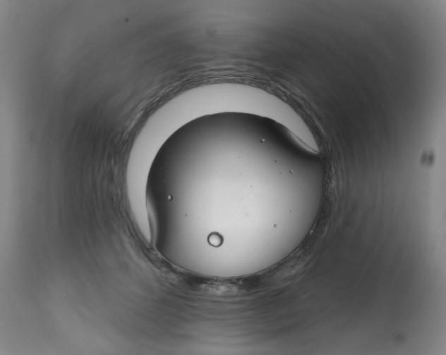 X0000112800512200909181540