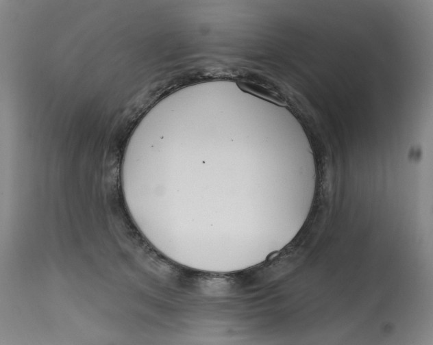 X0000112800513200909181540