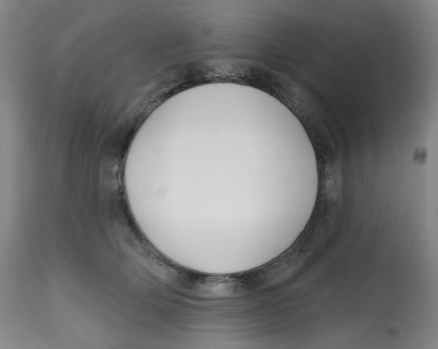 X0000112800514200909181539