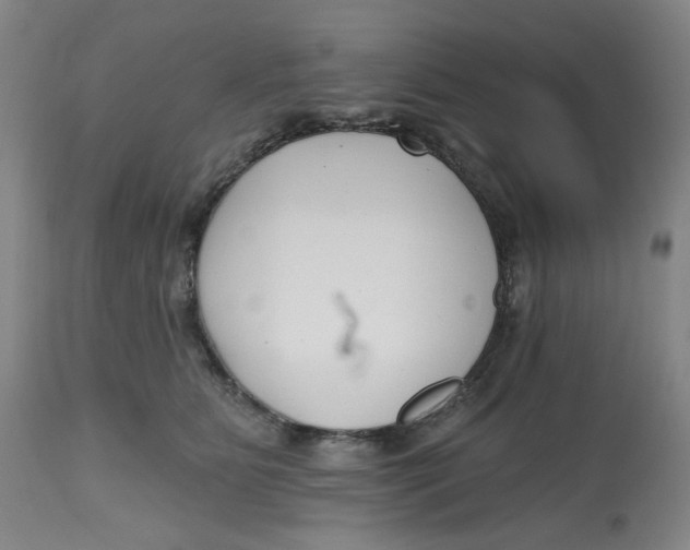 X0000112800515200909181539