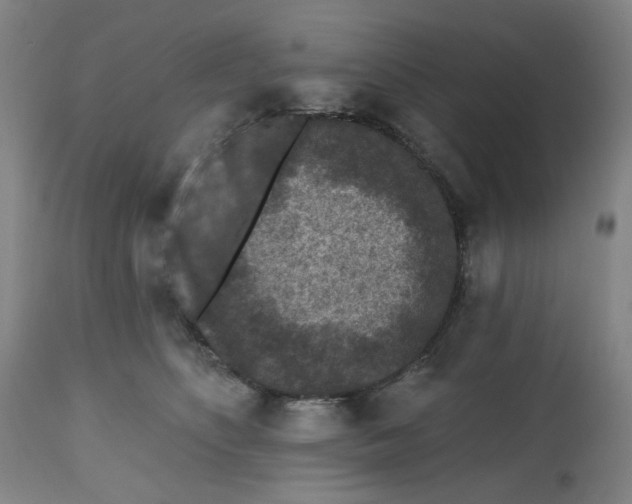 X0000112800516200909181539
