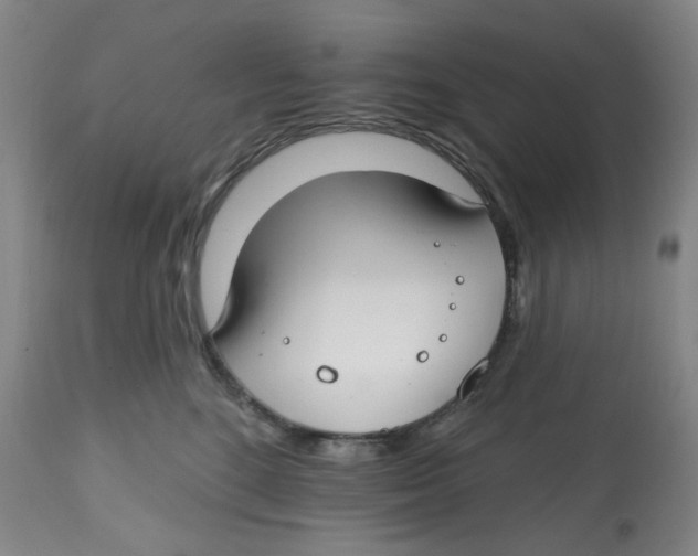 X0000112800520200909181539
