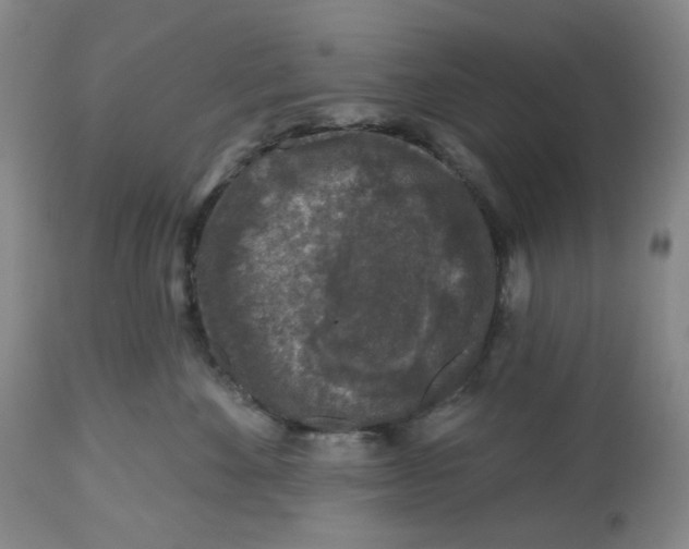 X0000112800524200909181539