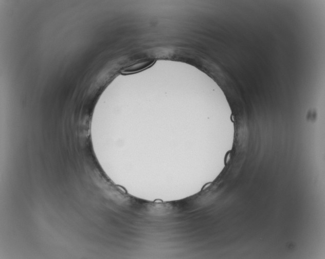 X0000112800525200909181539