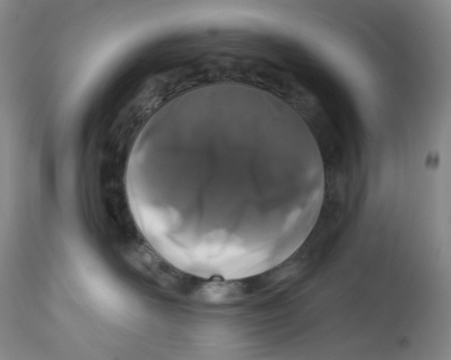X0000112800526200909181539