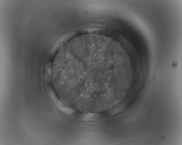 X0000112800527200909181539