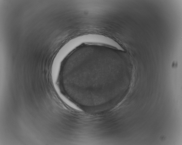 X0000112800528200909181539