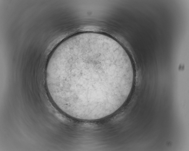 X0000112800529200909181539