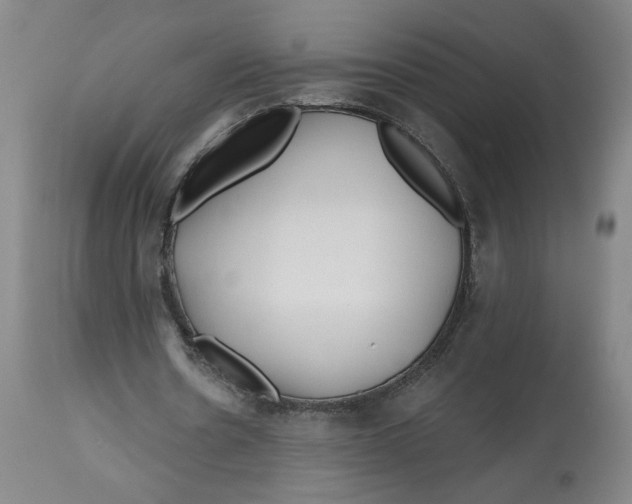 X0000112800530200909181539