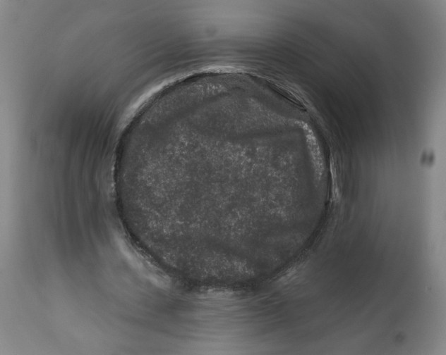 X0000112800531200909181539