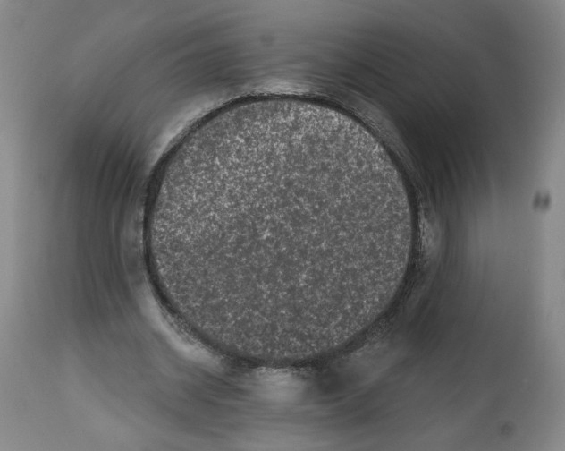X0000112800534200909181539
