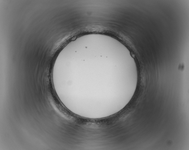 X0000112800538200909181539