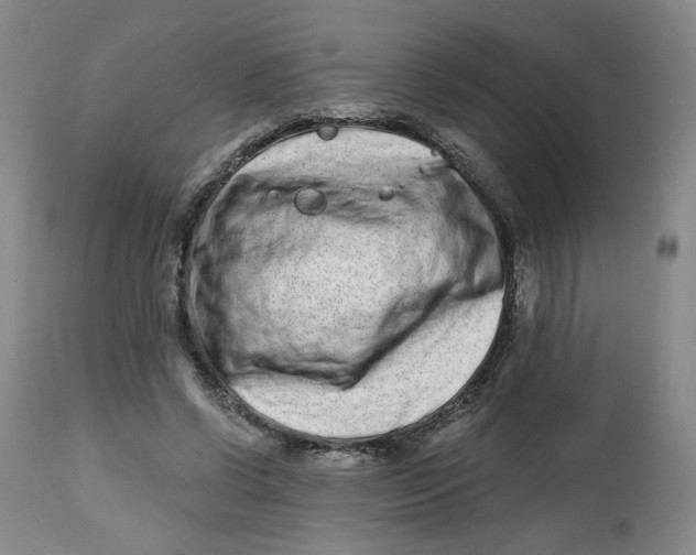 X0000112800542200909181539