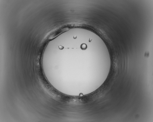 X0000112800543200909181539
