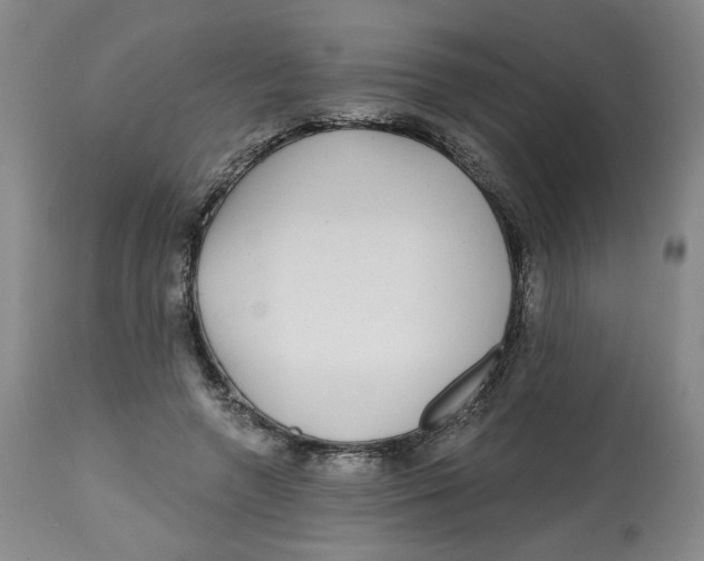 X0000112800546200909181539