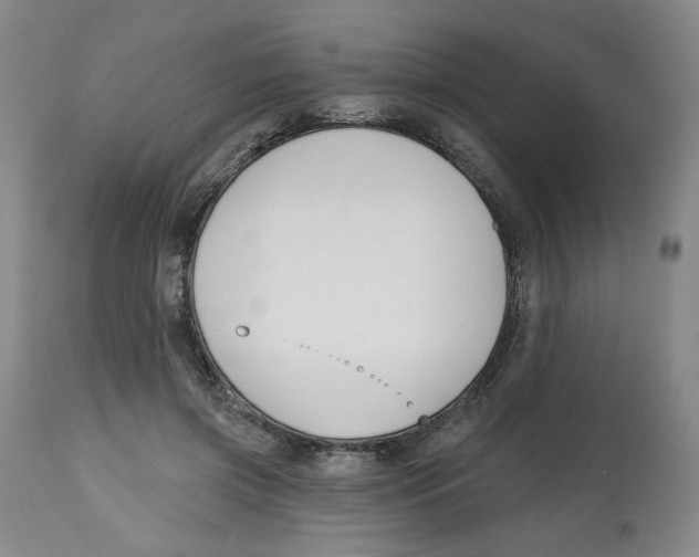 X0000112800549200909181539