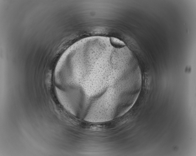 X0000112800550200909181539