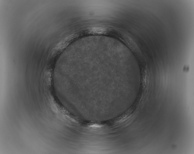 X0000112800551200909181539