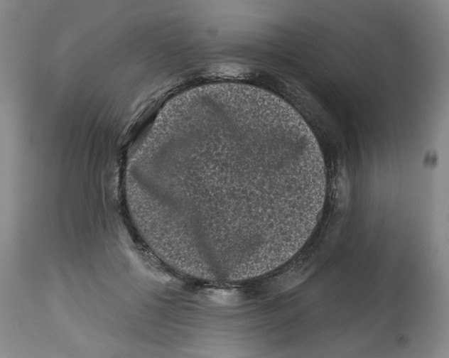 X0000112800552200909181539