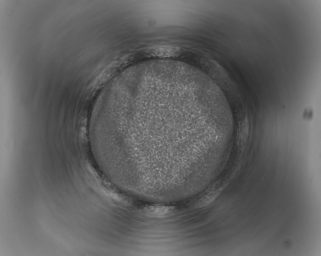 X0000112800553200909181539