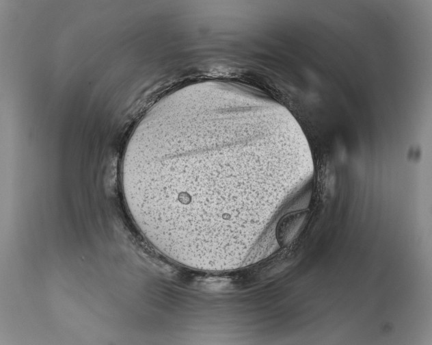 X0000112800554200909181539