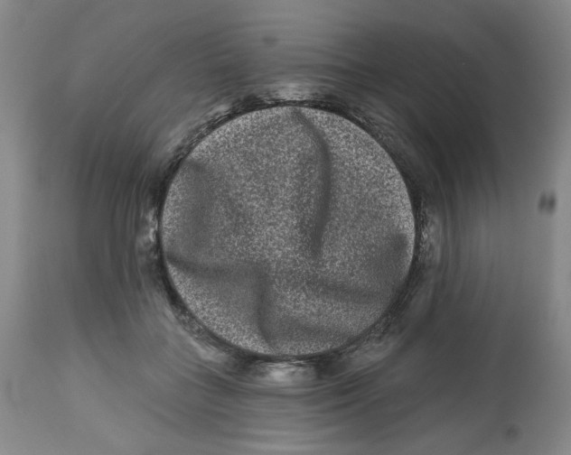X0000112800555200909181539
