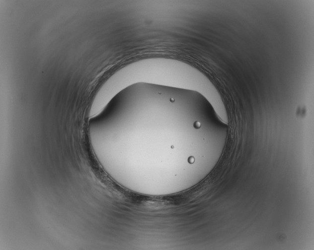 X0000112800556200909181539