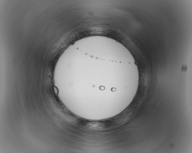 X0000112800557200909181539