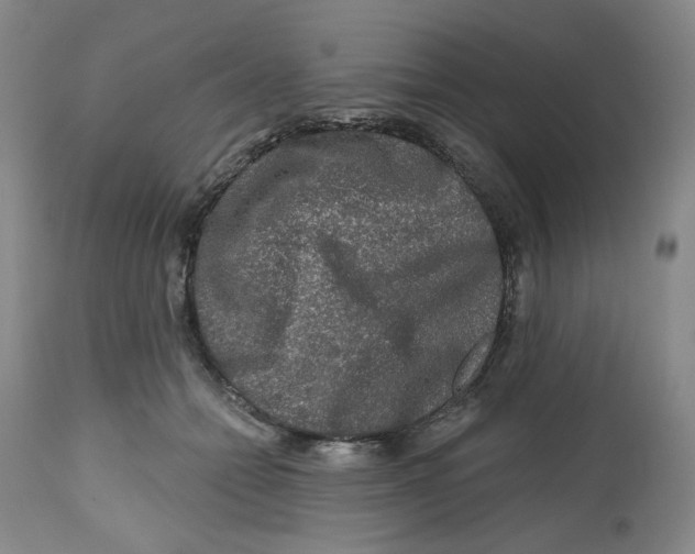 X0000112800558200909181539