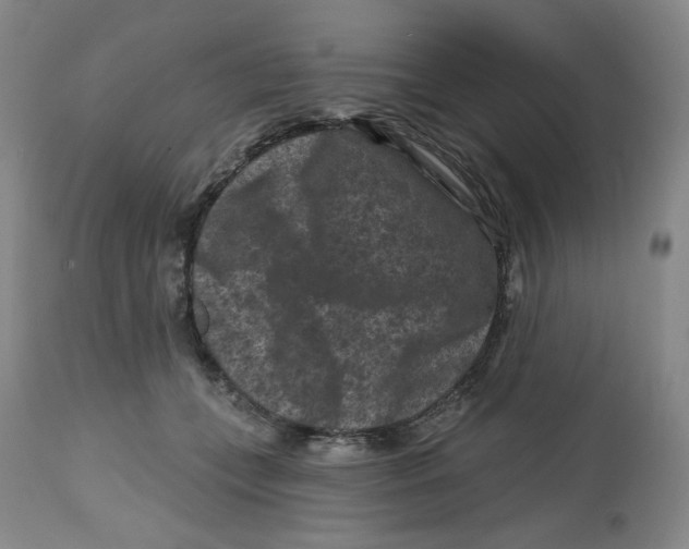 X0000112800559200909181539