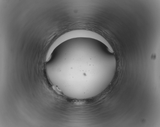 X0000112800560200909181539
