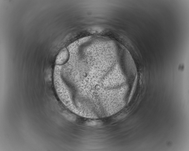 X0000112800561200909181539