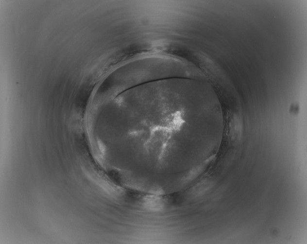 X0000112800562200909181539