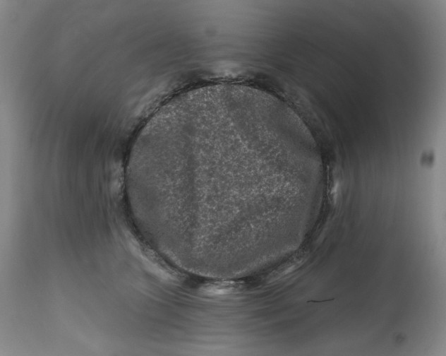 X0000112800563200909181539