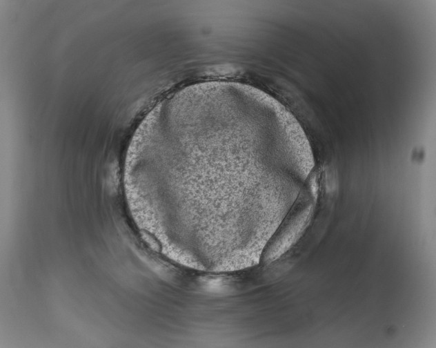 X0000112800564200909181539