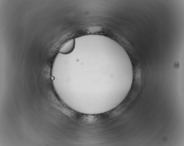X0000112800565200909181539