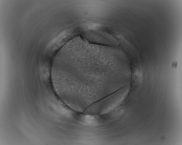 X0000112800566200909181539