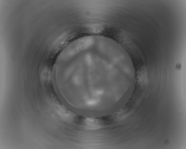 X0000112800568200909181539