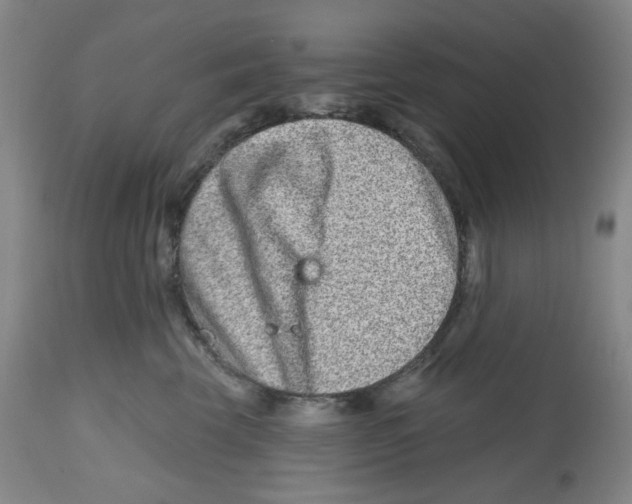 X0000112800569200909181539