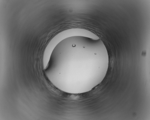 X0000112800570200909181539