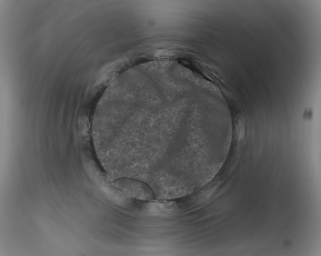 X0000112800571200909181539