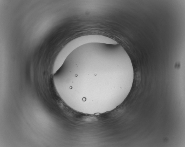 X0000112800572200909181539