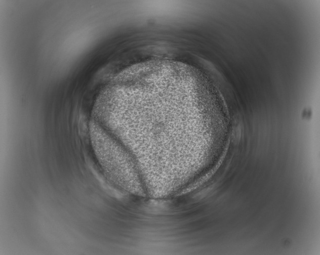 X0000112800573200909181539