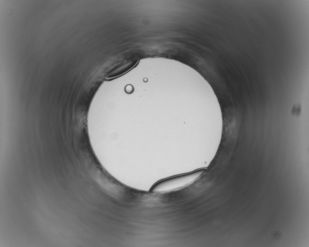 X0000112800574200909181539