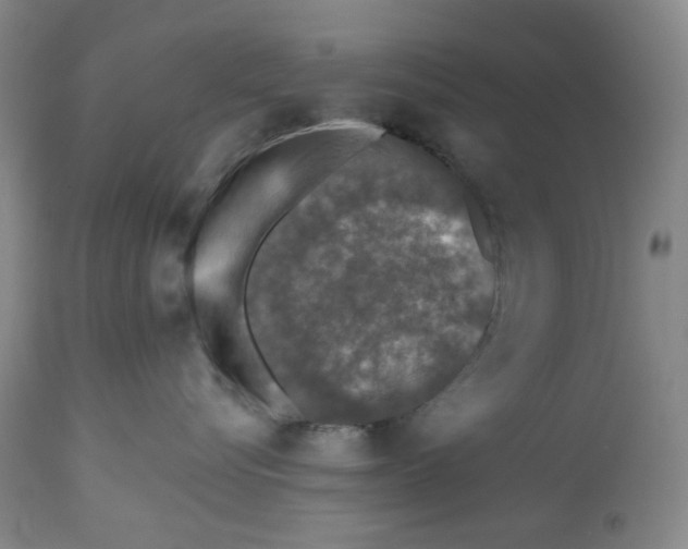 X0000112800576200909181539
