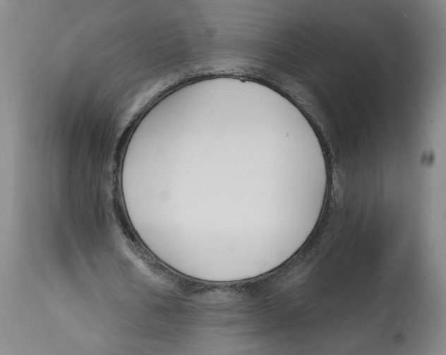 X0000112800578200909181539