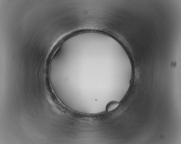 X0000112800580200909181539