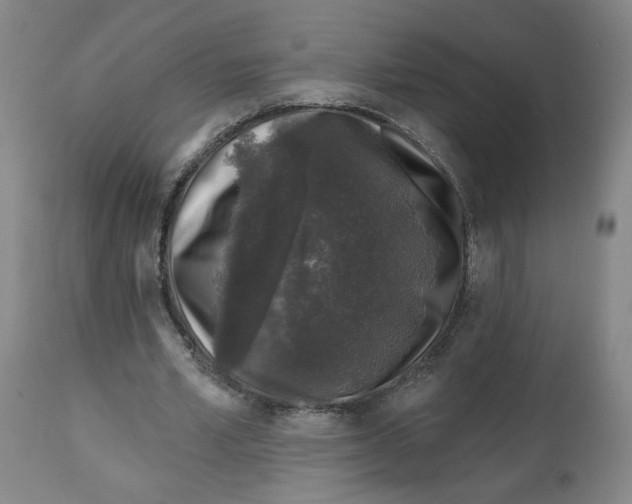 X0000112800581200909181539